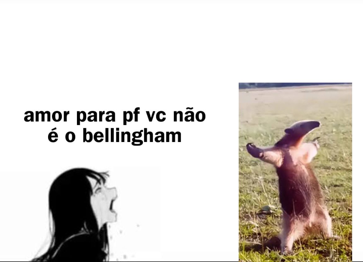 alecrim pensamentos (@alcrsk) on Twitter photo 