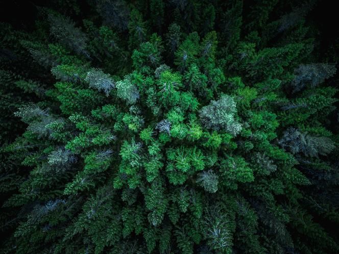 Lee_Chin_Inst's tweet image. Definitions for Responsible Investment Approaches buff.ly/3SrM0AW This guidance provides five key definitions for responsible investment terms: screening; environmental, social, and governance (ESG) integration; thematic investing; stewardship; and impact investing.