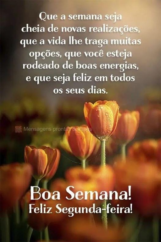 edudpaula's tweet photo. https://t.co/XFAxknF7E2