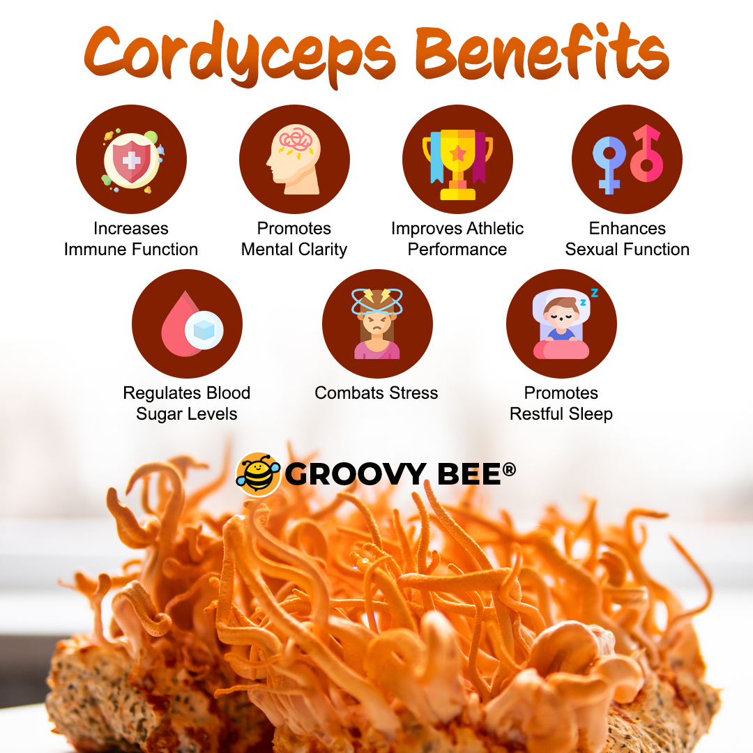 GroovyBeeReal's tweet image. Cordyceps Benefits

#functionalmushroom #organic #healthbenefits #mushroom #wellness #immunehealth #rest #goodfood #superfood