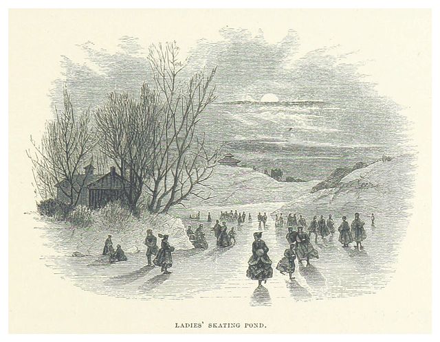 Rural Diary Archive tweet media