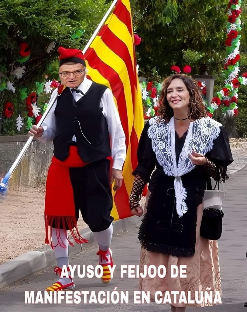Rosa Casas (@rosacas51466516) on Twitter photo 
