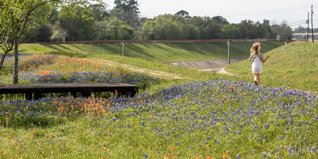 houparksboard's tweet photo. Tomorrow is Election Day!
Don't forget to get out and vote YES for #Prop14 to create the Centennial Parks Conservation Fund. The $1B fund will help secure new parks for future generations of Texans to explore.
Learn more at https://t.co/mZATNZi0Ka
#growtexasparks https://t.co/wGsyW87SEw