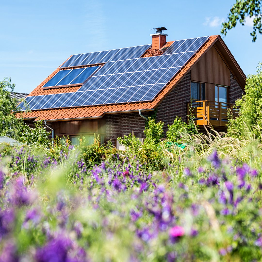 HotstarSolar's tweet photo. Join the green energy movement and stand out as a responsible business with #HotStarSolar! We offer top-quality #SolarInstallation for businesses, promising cost  ... https://t.co/hWmGZpJHdy