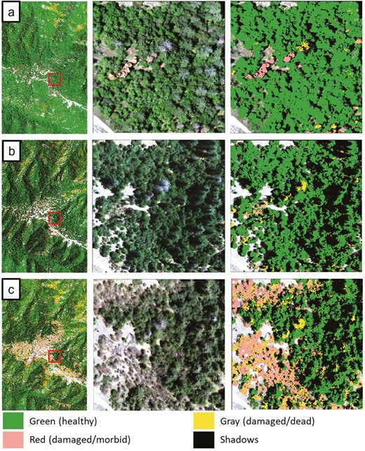 Wegmueller et al. Tree Condition and Analysis Program – Detecting Forest Disturbance at the Tree Level across the Contiguous United States with High Resolution Imagery. TreeCAP is operational ready software program. Uses NAIP airborne imagery & LiDAR data. academic.oup.com/jof/advance-ar…