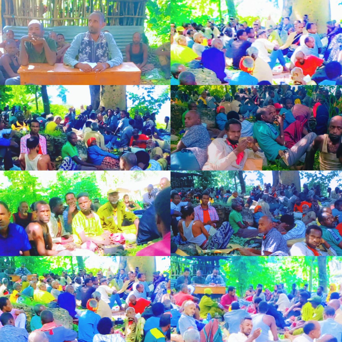 fozimohammed59's tweet photo. On October 26/2/2016, the 1st quarter performance review of the party and the government is being held in Ija buna village, Bedeno district, East Hararghe region.
======================
The review is expected to set the next working direction. https://t.co/9pHQODM5ad