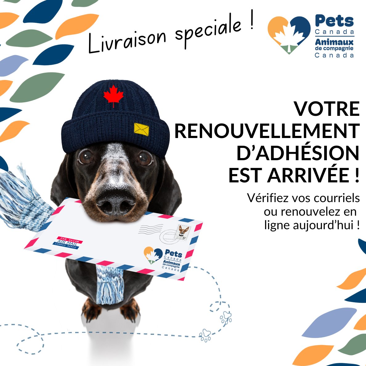Il est temps de renouveler votre adhésion à Animaux de compagnie Canada ! Les taux de renouvellement pour 2024 sont gelés ! Renouvelez en ligne dès aujourd'hui : members.petscanada.org/?lang=fr