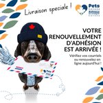 Photo by Pets Canada (@PetsCanadaorg)