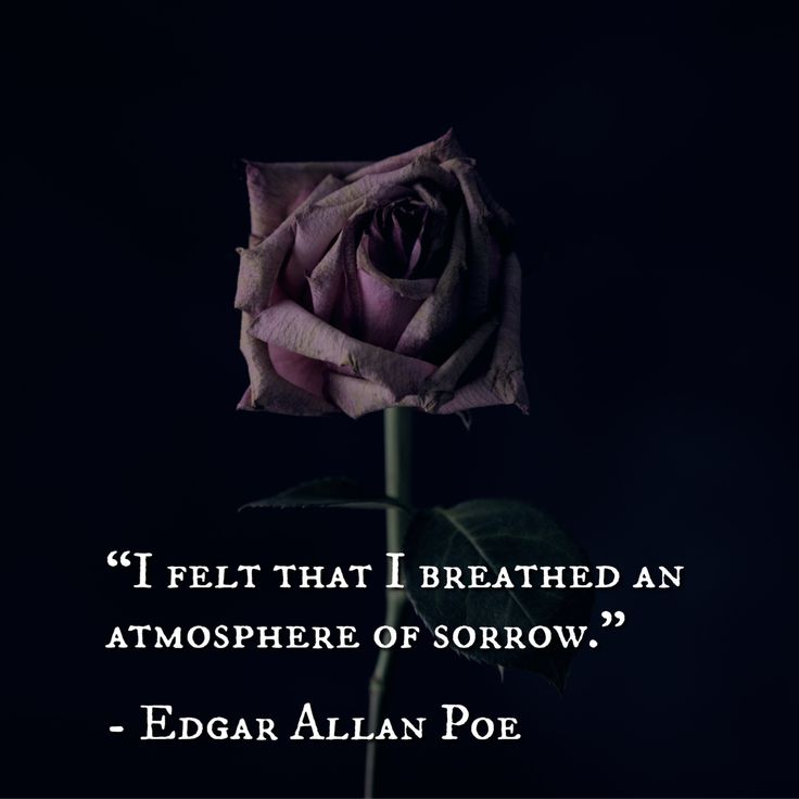 JamieVoorhees6's tweet image. #HorrorFam #writingfam