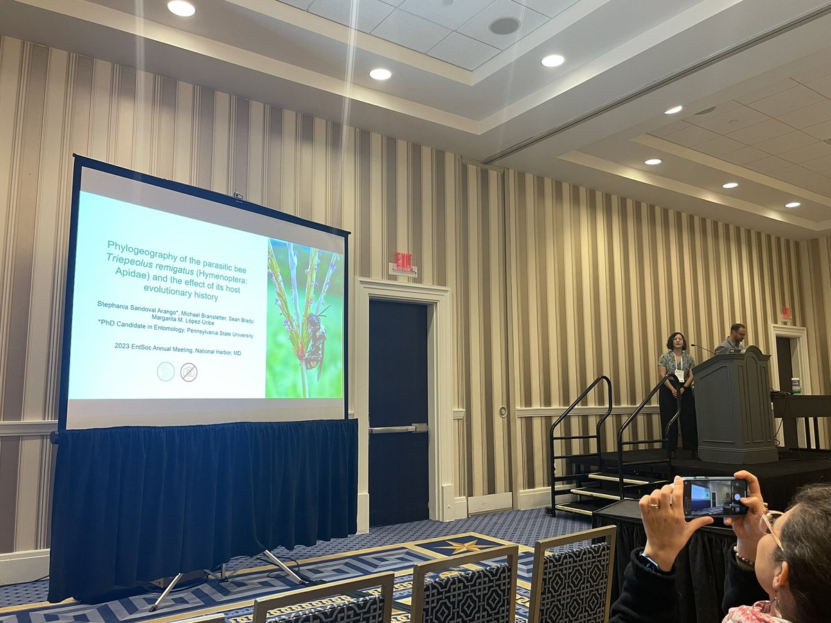 Alejandro Medina Valencia 🇲🇽 (@alejandomvalen) on Twitter photo Just wanted to highlight some of the presentations given so far at #EntSoc23 by some of my lab members . Respectively Jules Cruz, Avehi Singh and Stephania Sandoval Arango. Great speakers and cool research on a wide variety of bees. Check us out <a href="/lopezuribelab/">Lopez-Uribe Lab</a> ! Just wanted to highlight some of the presentations given so far at #EntSoc23 by some of my lab members . Respectively Jules Cruz, Avehi Singh and Stephania Sandoval Arango. Great speakers and cool research on a wide variety of bees. Check us out <a href="/lopezuribelab/">Lopez-Uribe Lab</a> !
