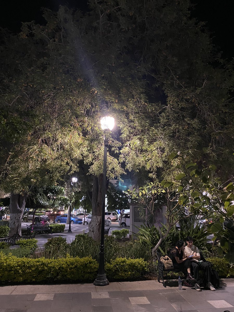 Alexvoy's tweet image. Cuantos noviazgos han presenciado estos antiguos tamarindos. 
#lapazbcs