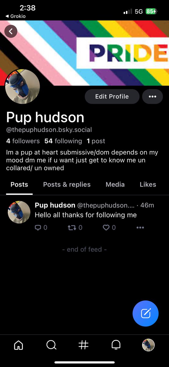 pupperhudson's tweet photo. Made a BSKY would love follows on their more kinky stuff is gunna be on their soon https://t.co/ScmMtHpRjl