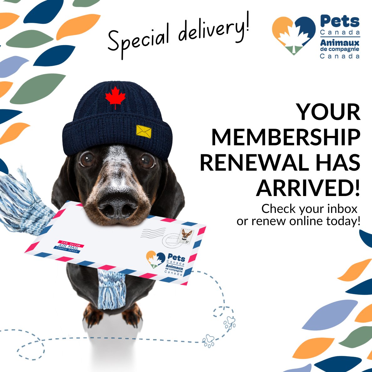 Hey! It's time to renew your membership with Pets Canada! Renewal Rates for 2024 are Frozen! Renew online today: members.petscanada.org