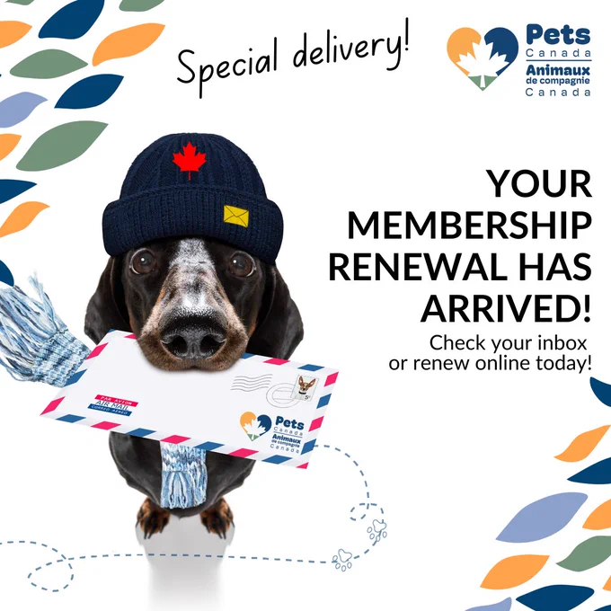 Image from Pets Canada (@PetsCanadaorg)