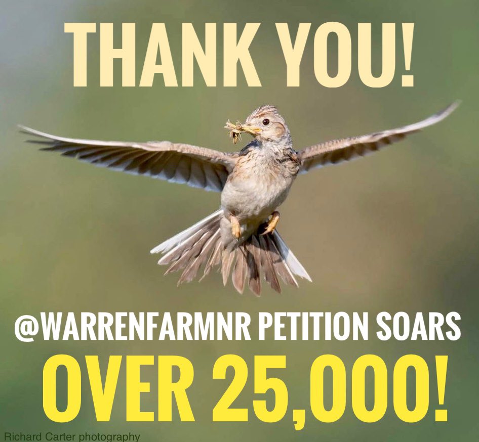 WarrenFarmNR's tweet photo. 💚🚨BREAKING NATURE NEWS!🚨💚Our #WarrenFarmNR petition soars over 25,000 signatures!🐦‍⬛🪺A high-flying THANK YOU to everyone who has signed &amp; shared, you’ve given our wildlife a much needed voice!🥰🦋🙌🏼🌸 @EalingCouncil pls don’t #dewild us, together let’s 🐝 better!🦔🪲🦊🦇🌼 https://t.co/I4rE6nmTbK