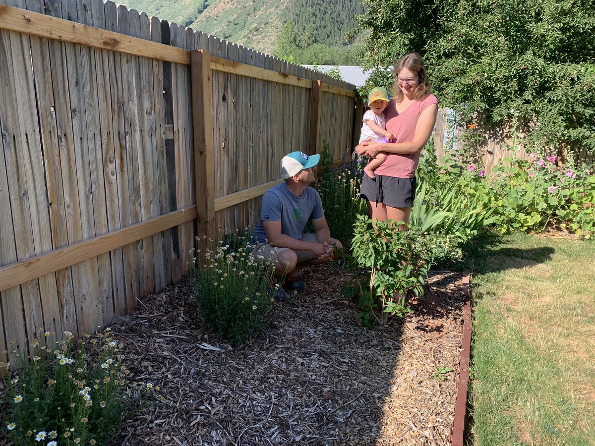 The bill marks the first prohibition at the state level aimed at preventing the planting of nonfunctional turf.

aspenjournalism.org/state-lawmaker…