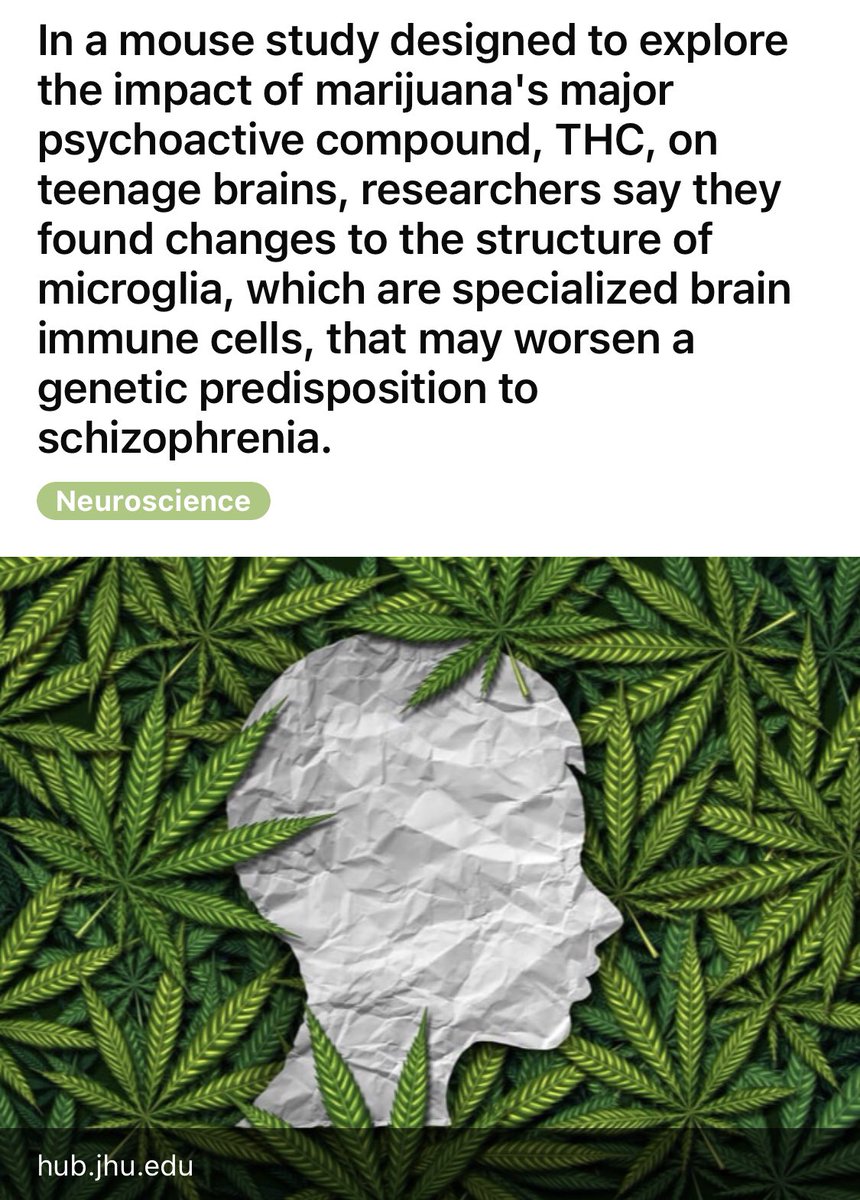 I feel bad for the generation growing up to cannabis normalization.