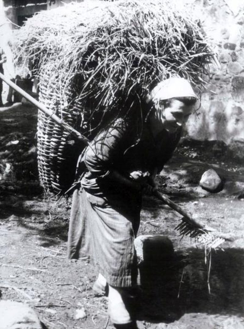 Araceli_ENTHUMN's tweet photo. #Ruvalcava, 1958, mujer con #cuévanu/ #cuinu y con #rastrillu. https://t.co/hVN94Ol55d