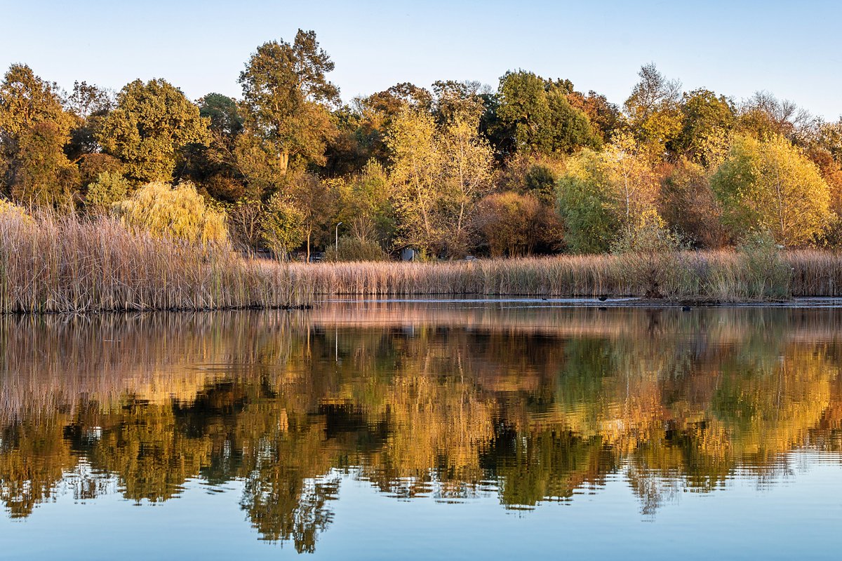 redwhite78's tweet photo. Reflections at the lake
#water #lake #nature #reflection #mirror #outdoor #autumn #vegetation #naturalpark #colours #sunset #sunlight https://t.co/5UVeBCdrjU