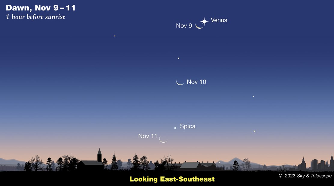 Tomorrow November 9, very early risers can watch the lunar crescent and Venus rise a mere ½° apart.

(credit <a href="/SkyandTelescope/">Sky & Telescope</a>)