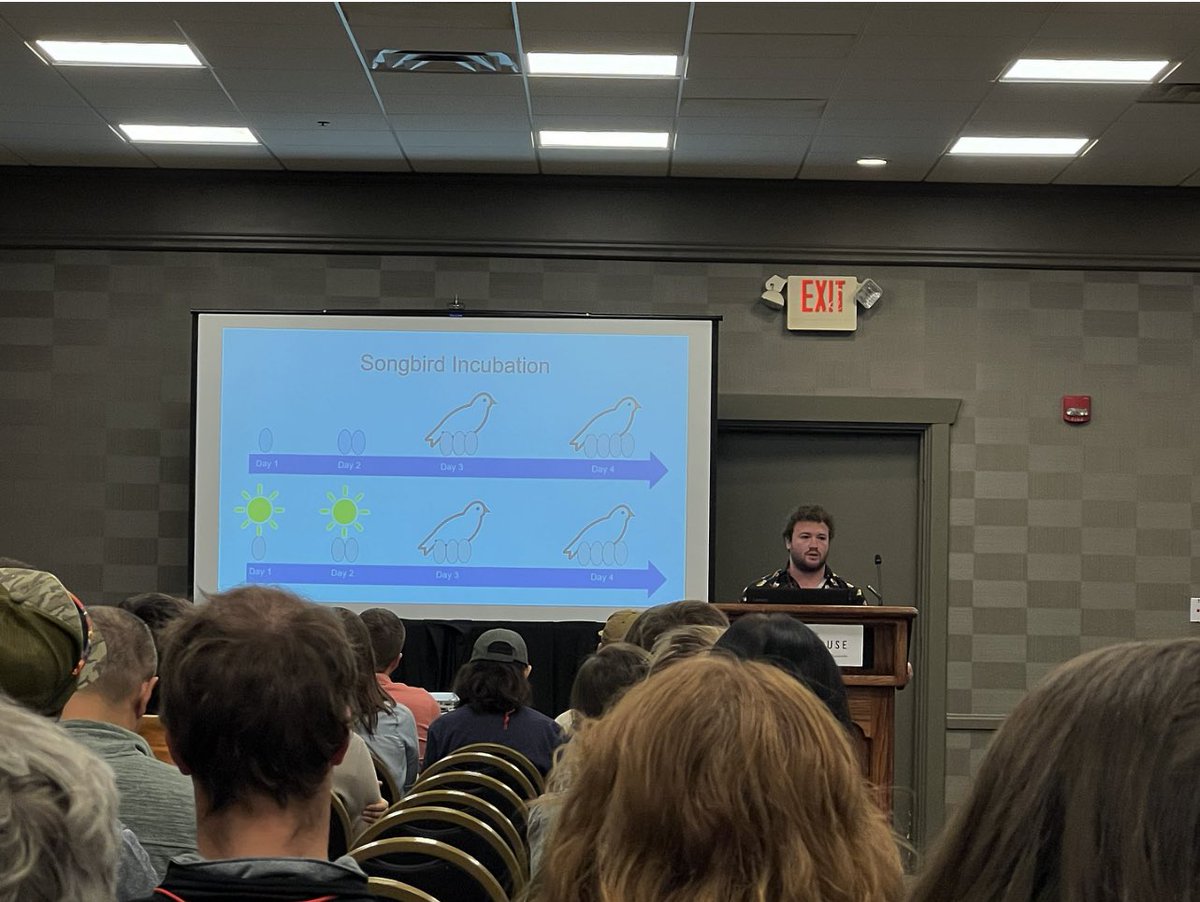 ldpharr's tweet photo. Awesome presentation about increasing nest temperatures and hatching asynchrony affecting nestling survival at #TWS2023 by @_stans96 from the @c_lattin lab.

Looking forward to investigating a similar question with my #RCWoodpecker nestlings! https://t.co/m4MO0cwQP8
