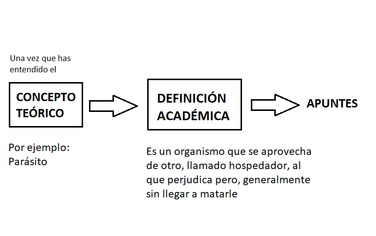 biologiayarte's tweet photo. https://t.co/b2rCI3hPNy