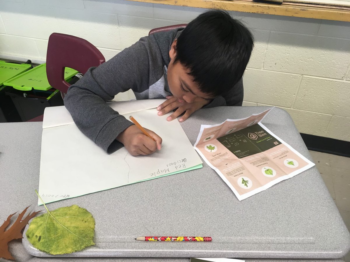 forestscanada's tweet photo. It's almost time for @YorkRegionGovt's #TreeBee2023! Spark excitement and curiosity about forests in grades 4-6 students and challenge them to put their tree knowledge against other teams in a weeklong virtual competition! https://t.co/21az765we3 https://t.co/2CkZp0fuZH