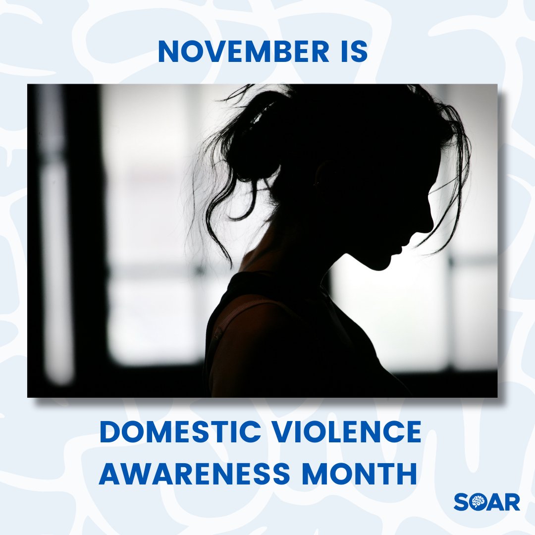November is Domestic Violence Awareness Month in Canada.
 
Domestic violence or Intimate partner violence (#IPV) often causes brain injury (#BI). BI is an invisible injury which happens to as many as 92% of those who experience IPV.
 
Learn more on our website.