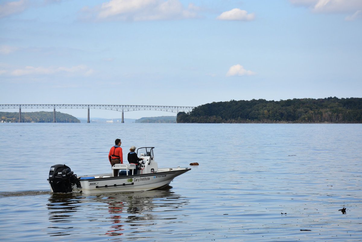 We are hiring! Seeking a postdoc with a focus in data science for fisheries. Be part of a dynamic, multi-partner effort redesigning monitoring and management in the Hudson River ecosystem. Cary/@CT_Solomon, @NYSDEC, @Cornell, @stonybrooku, + more. Apply: caryinstitute.org/about/careers-…