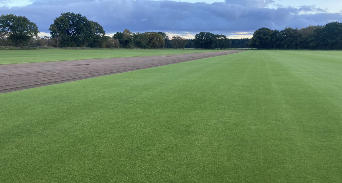 Tillers Turf tweet media