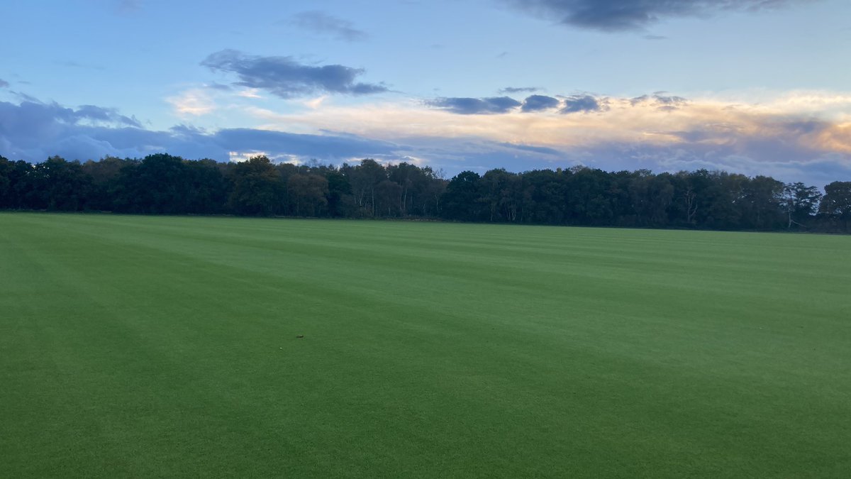 Tillers Turf tweet media