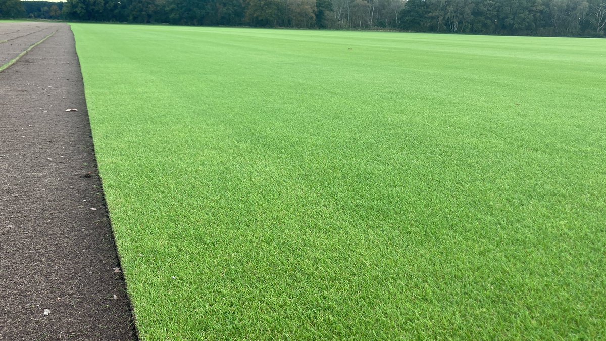 Tillers Turf tweet media