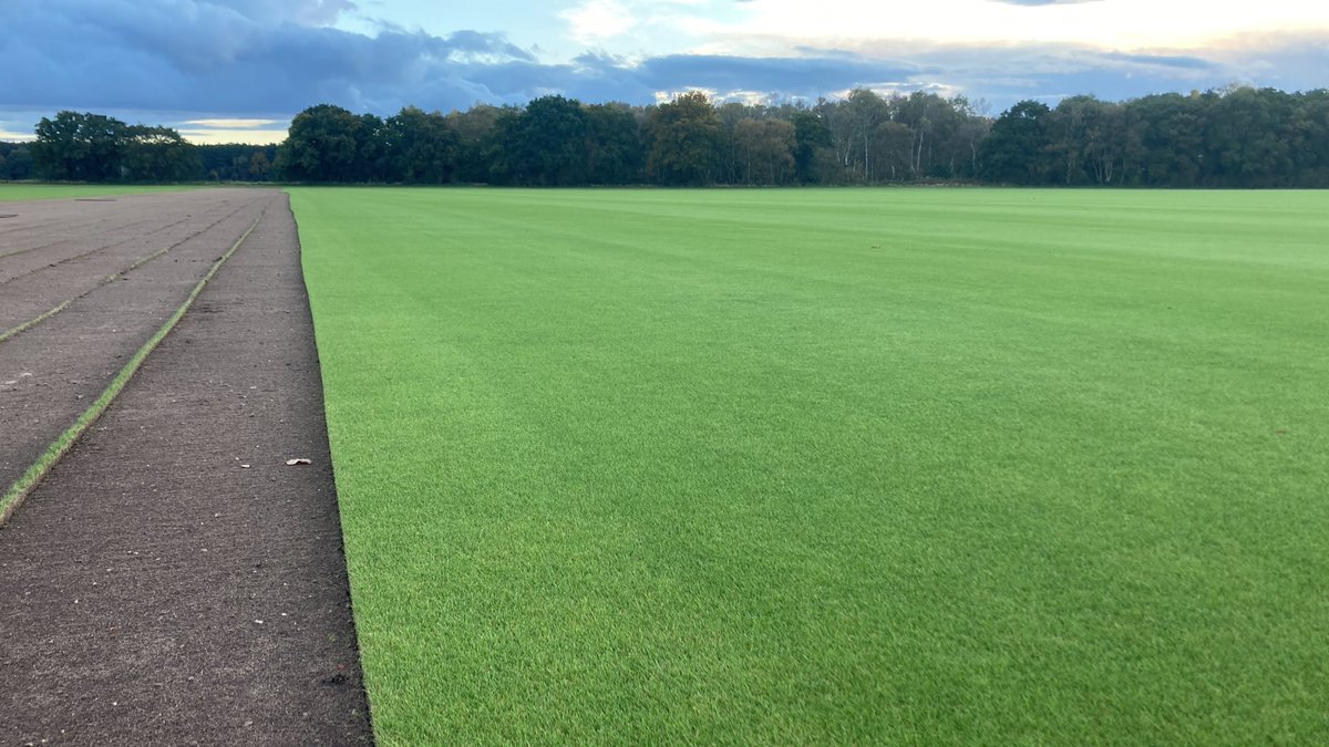 Tillers Turf tweet media