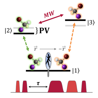 PhysRevX's tweet photo. A proposed technique to test for slight differences in symmetry between the mirror-image arrangements of chiral molecules opens the door to probe for tiny parity violations.
Read https://t.co/HmDOp6l9vF
@YuvalShagam @TechnionLive #PRXamo PRXjustpublished #openaccess https://t.co/YSyb7zQXag