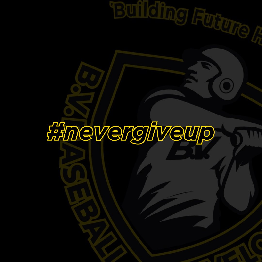 Bv Baseball tweet media