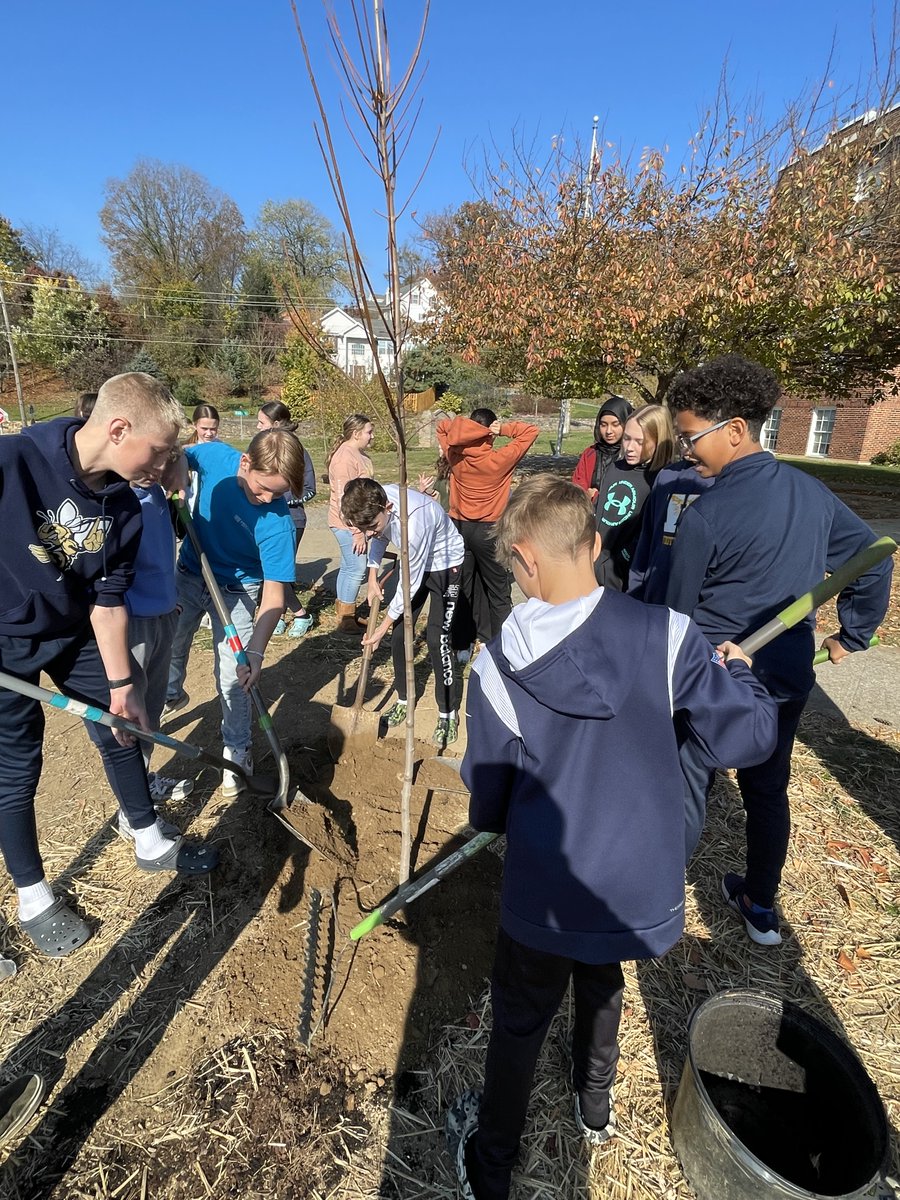 🌳 🍁 After recent storm damage forced the removal of old trees, students @hmseaglestweet planted new ones in honor of the school's former principals Mr. Greenfield &amp; Mr. Scott with the help of the <a href="/cacaponinst/">Cacapon Institute</a> ! 🌳 🍁 #BCSInvested23 #BeInvested #GreenThumb