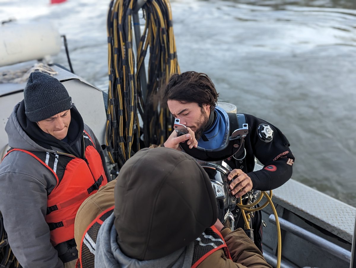 Engineering Operations LLC tweet media