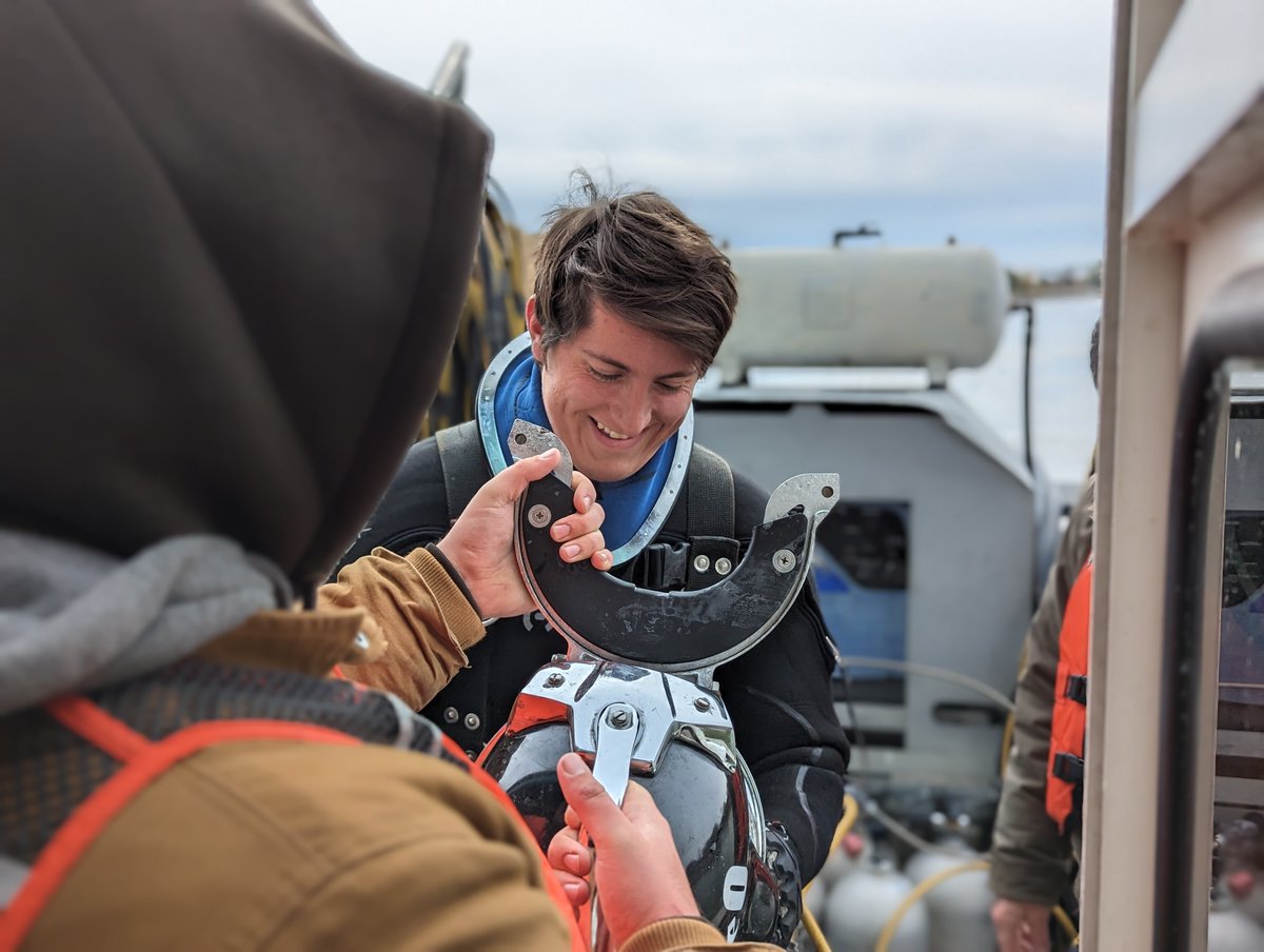 Engineering Operations LLC tweet media