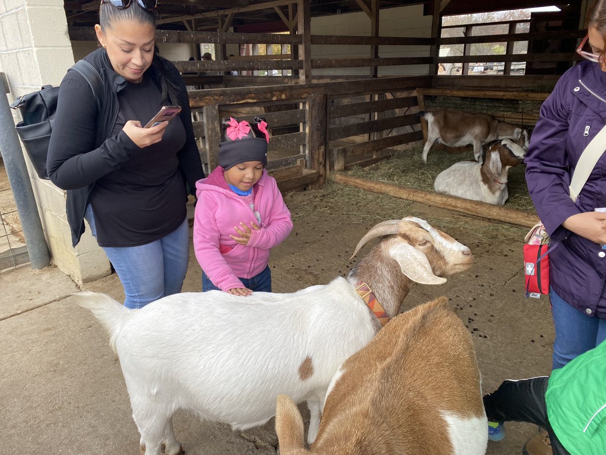 Aimée Tazic tweet media