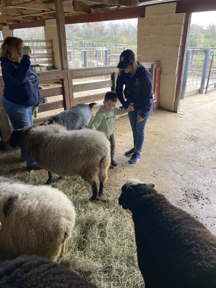 Aimée Tazic tweet media