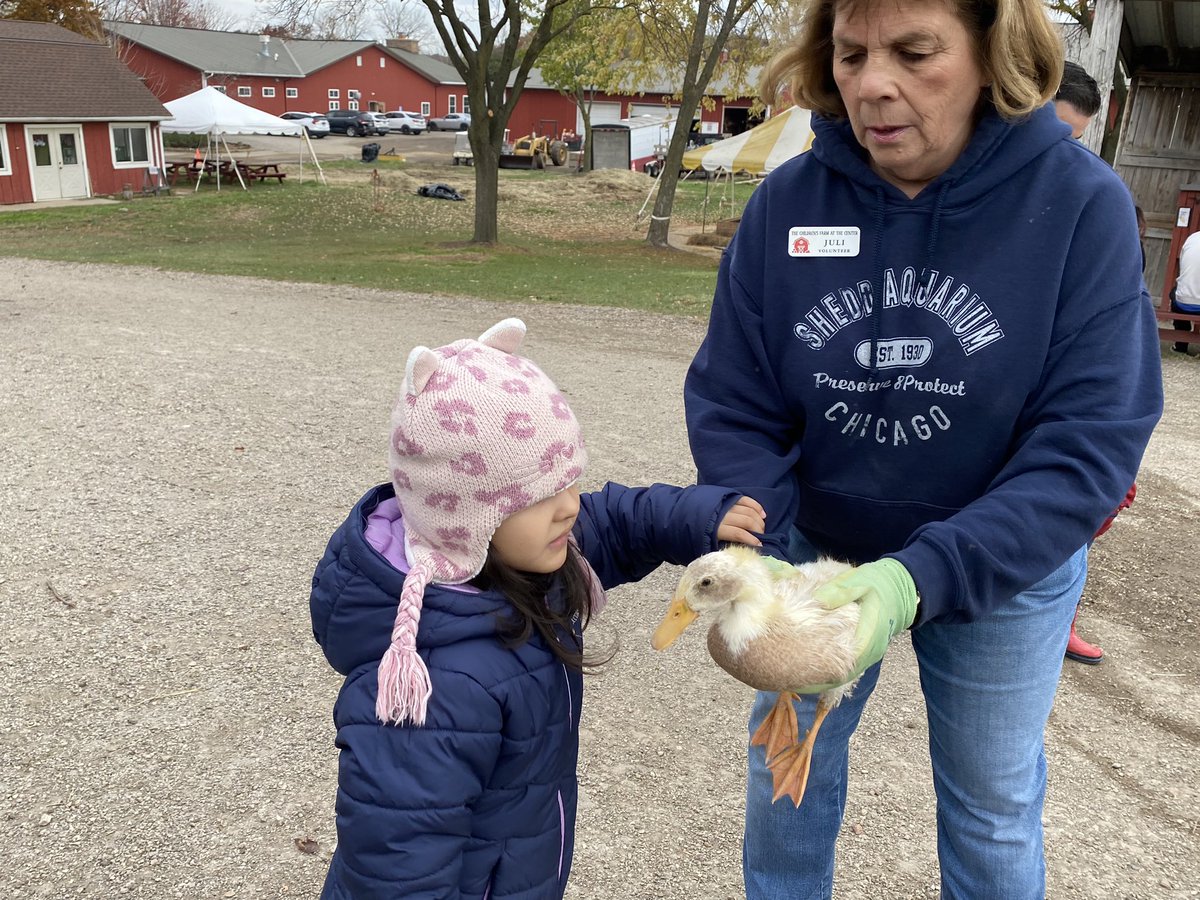 Aimée Tazic tweet media