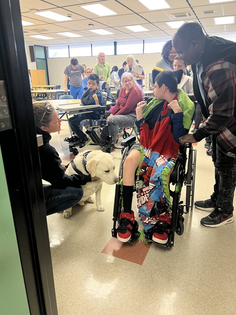 Marshall St. / JDP tweet media