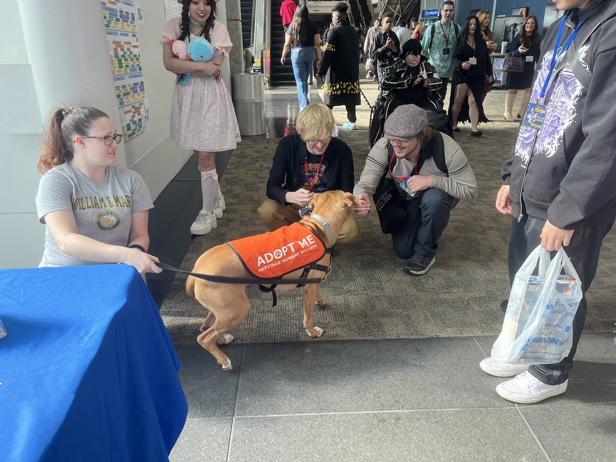 MobileMonicker's tweet photo. @BWincklerVA @ekimerer saying hello to some furry friends at @NekoCon ! #Demonslayer #nekocon #GenshinImpact #MobileMonickerproductions #dogs #furry #fun #norfolk #anime https://t.co/IxfM66qsVZ