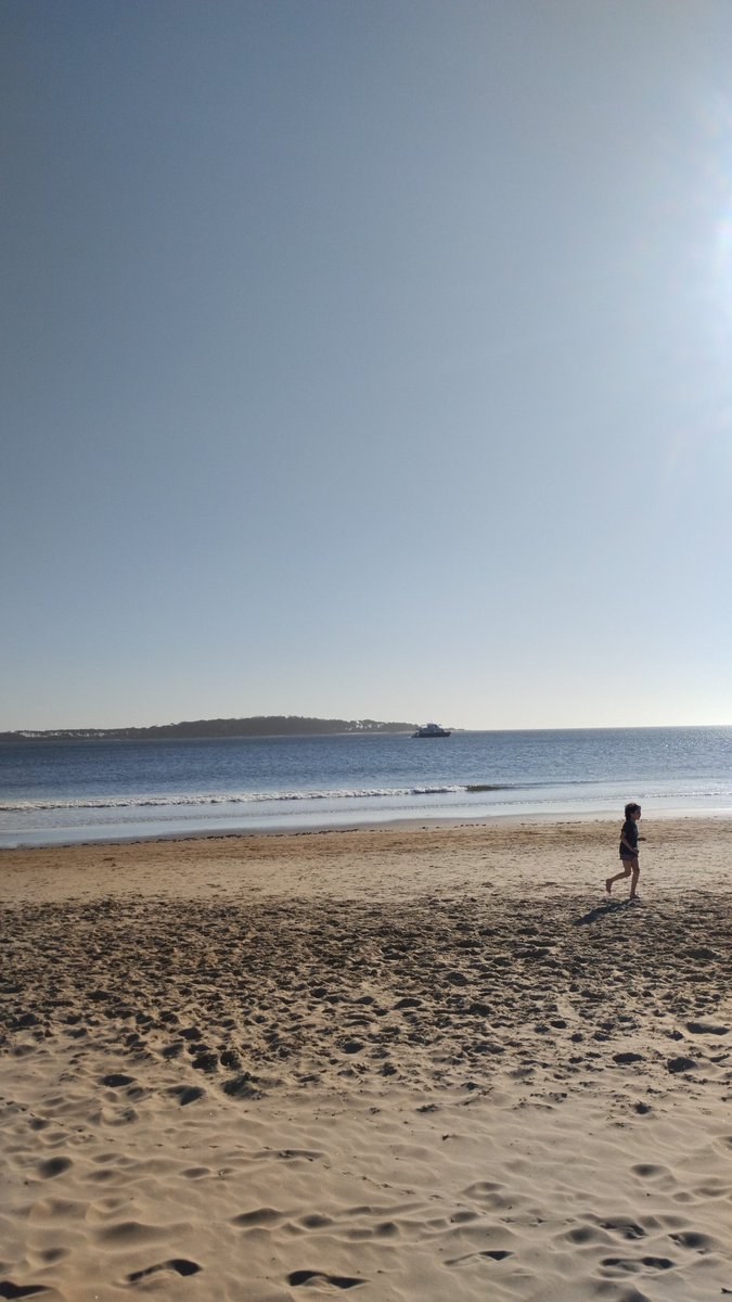vozdeadam's tweet photo. Arrancando ☀️ https://t.co/vfsVyCgJMk