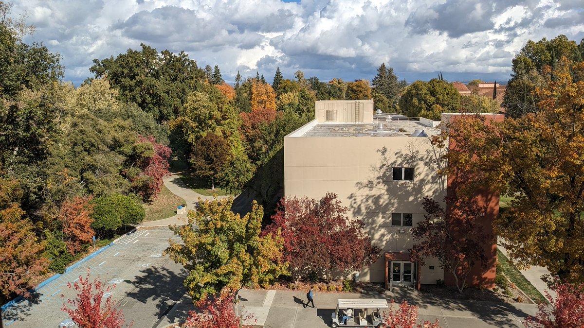 This office view! #ChicoState #FallinNorthernCA