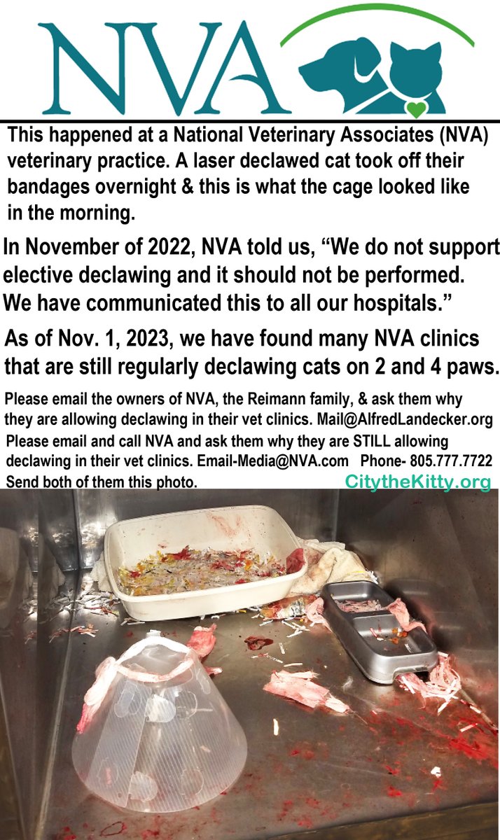 City_the_kitty's tweet photo. PLEASE ask @NVApets why they are still allowing this animal cruelty(declawing) in their clinics &amp; sign our petition https://t.co/9GwfDkLYqA #NVAcommunity #NVA #Caturday #cat #SeeSomethingSaySomething  #nvapets #nvacareers #CatsAreFamily #Germany #reimann #JABholding #DrSandraFaeh https://t.co/8T2QWfIYn4