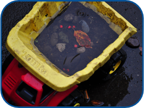 Rain is on the way next week.  So, if you have containers like this toy truck outside in the weather, move them to an area where they can't catch rainwater and breed mosquitoes. Mosquitoes are still looking for stagnant water where they can lay their eggs. #mosquito #westnile