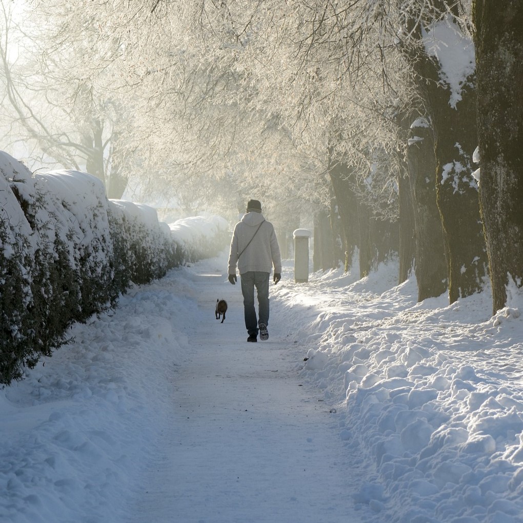 Finding Balance BC tweet media