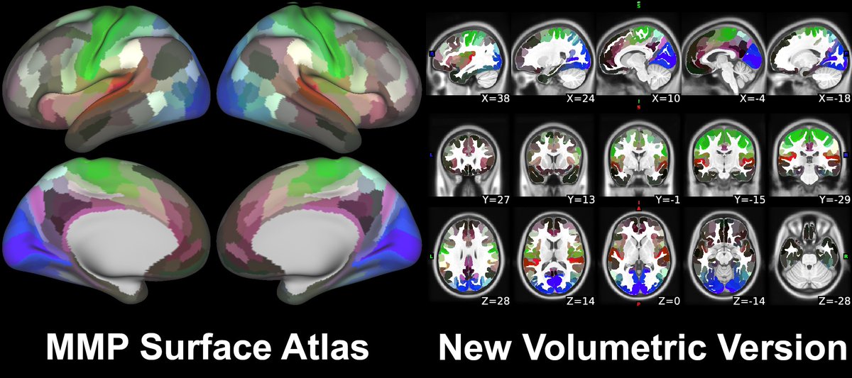 Bogdan Petre tweet media
