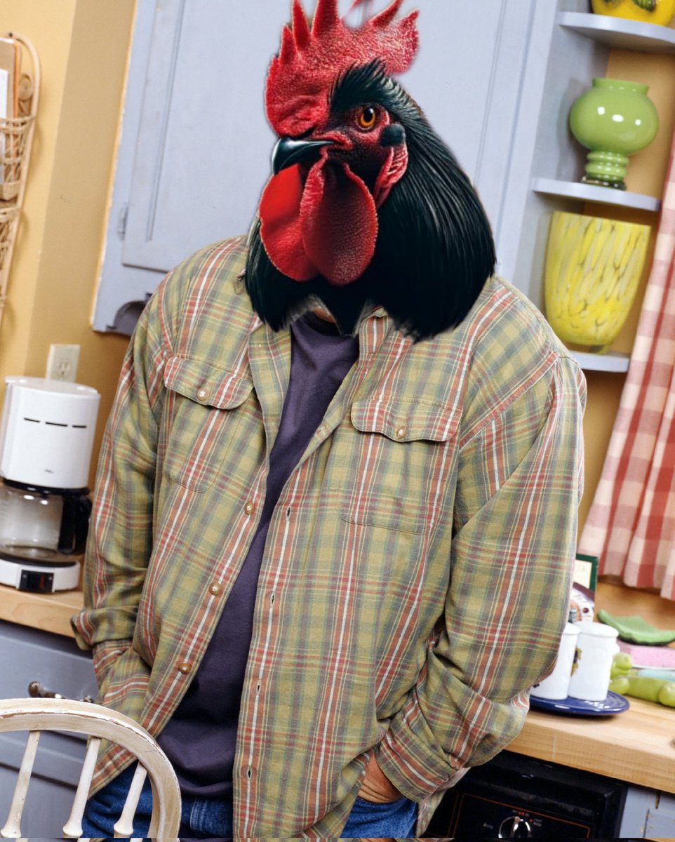 xbcfund's tweet photo. Trying to explain to everyone in web2 why you have pictures of black 🐓's on your phone: https://t.co/ojrvMnrnn4